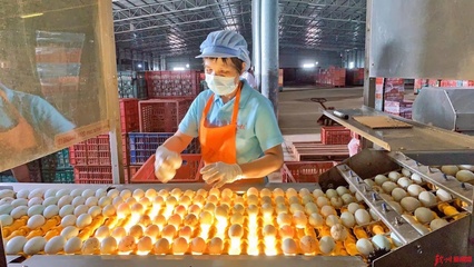 網眼看欽州|誠信食品企業開放日，“零距離”感受放心食品